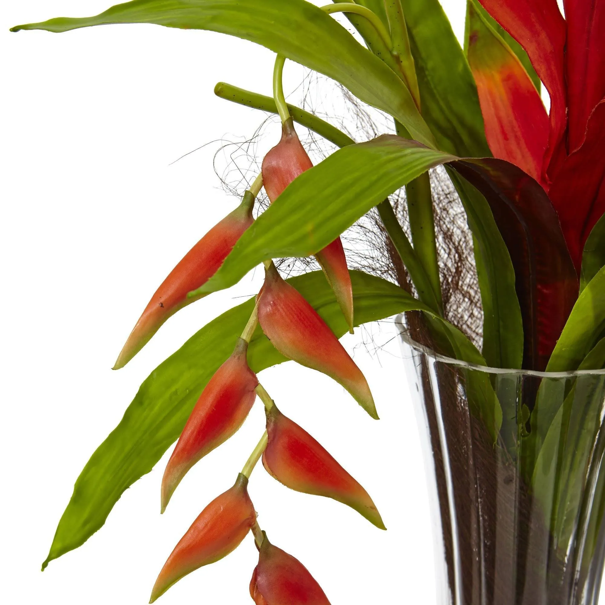 Bromeliad and Heliconia in Vase