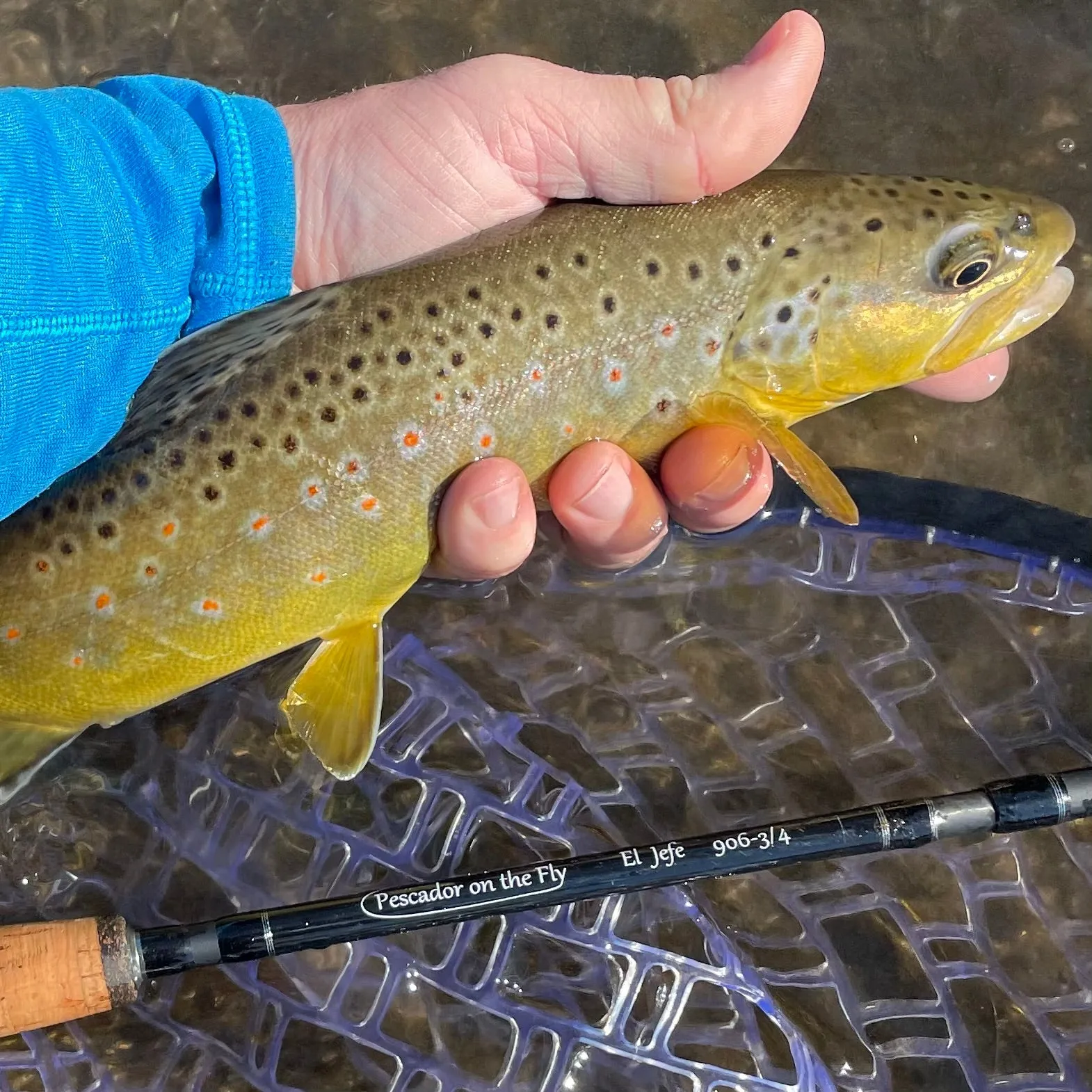 El Jefe Fly Fishing Combo Package | 906-3 | 9' Six Section 3 Weight Fly Rod And Reel Outfit