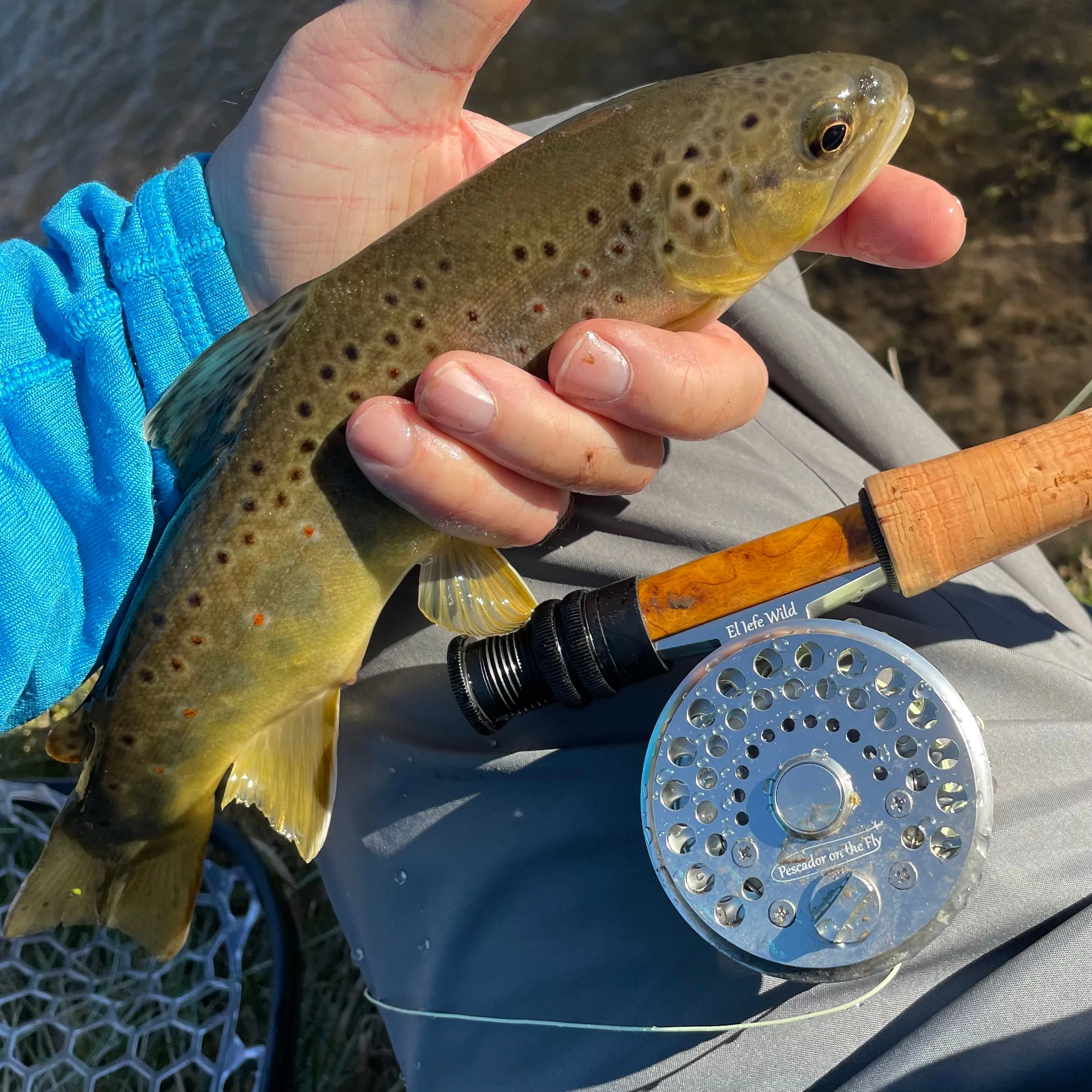 El Jefe Wild Fly Fishing Combo Package | 764 | 7'6" Four Section 2 Weight Fly Rod And Reel Outfit