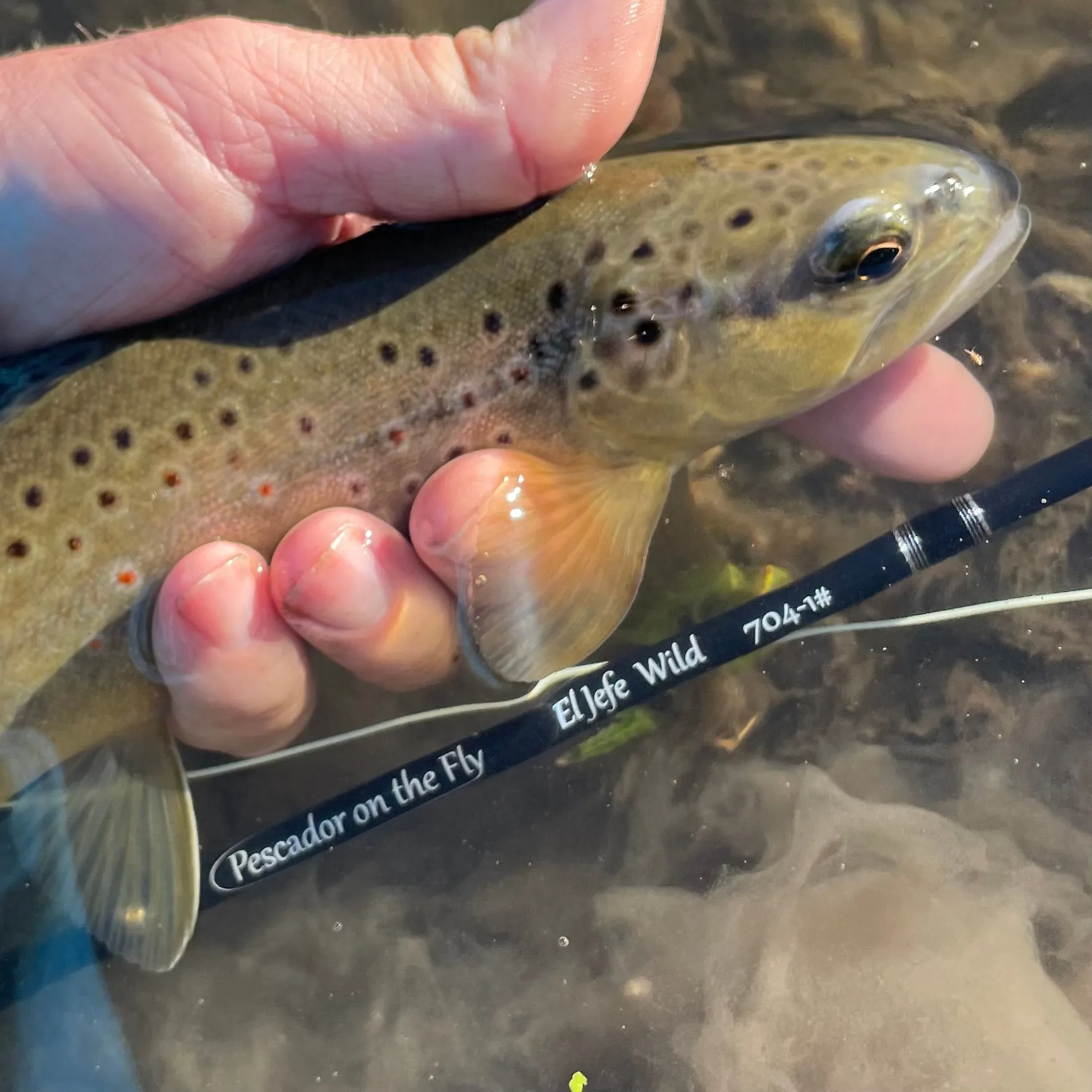 El Jefe Wild Fly Fishing Combo Package | 764 | 7'6" Four Section 2 Weight Fly Rod And Reel Outfit