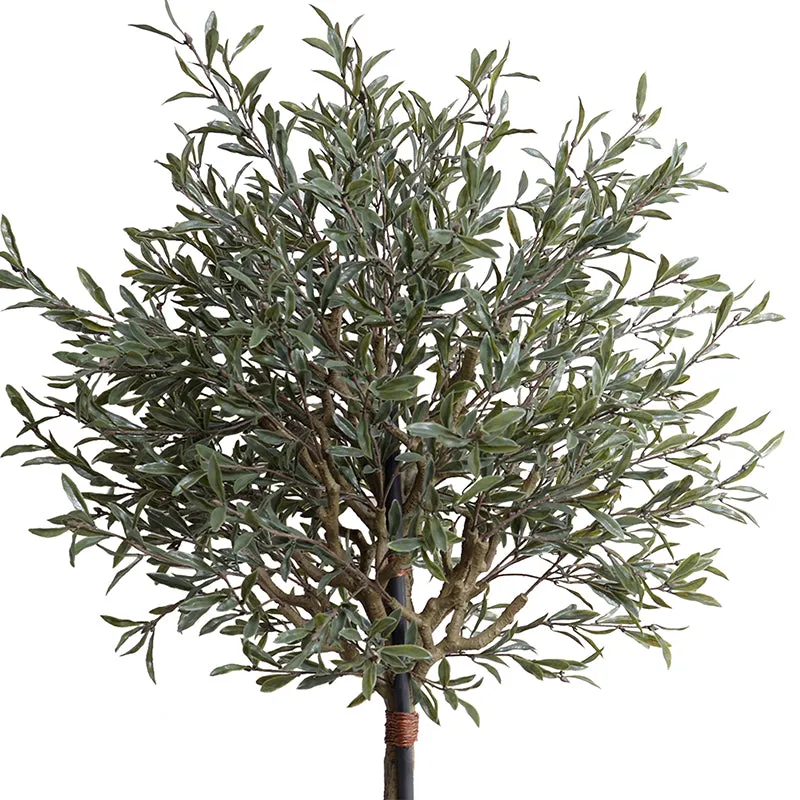 Olive Single Topiary